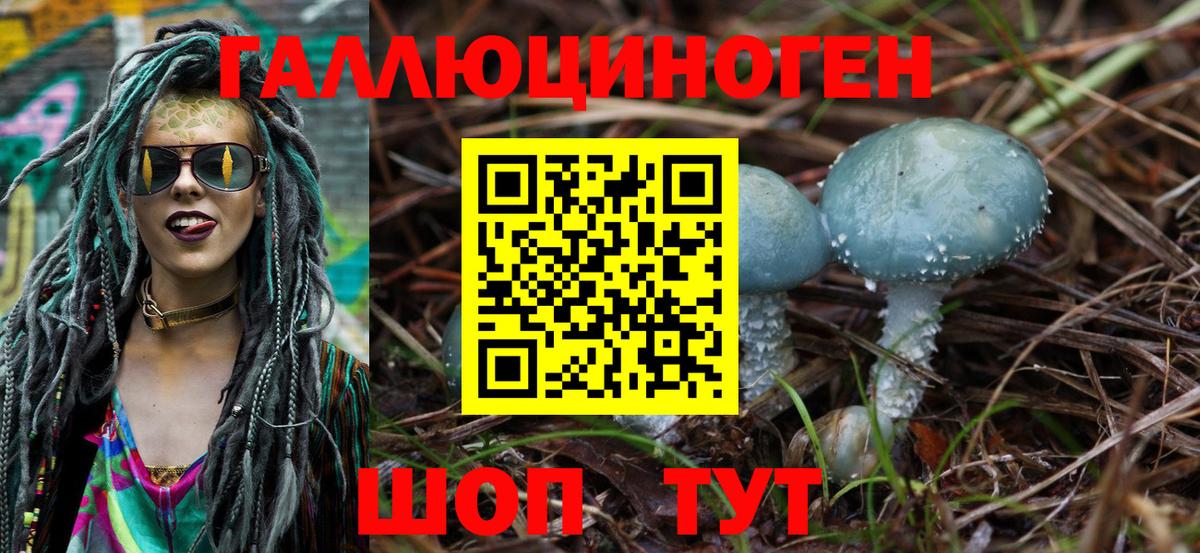 Псилоцибиновые грибы GOLDEN TEACHER  Вход с VPN  Урус-Мартан  Галлюциногенные грибы Magic Shrooms 